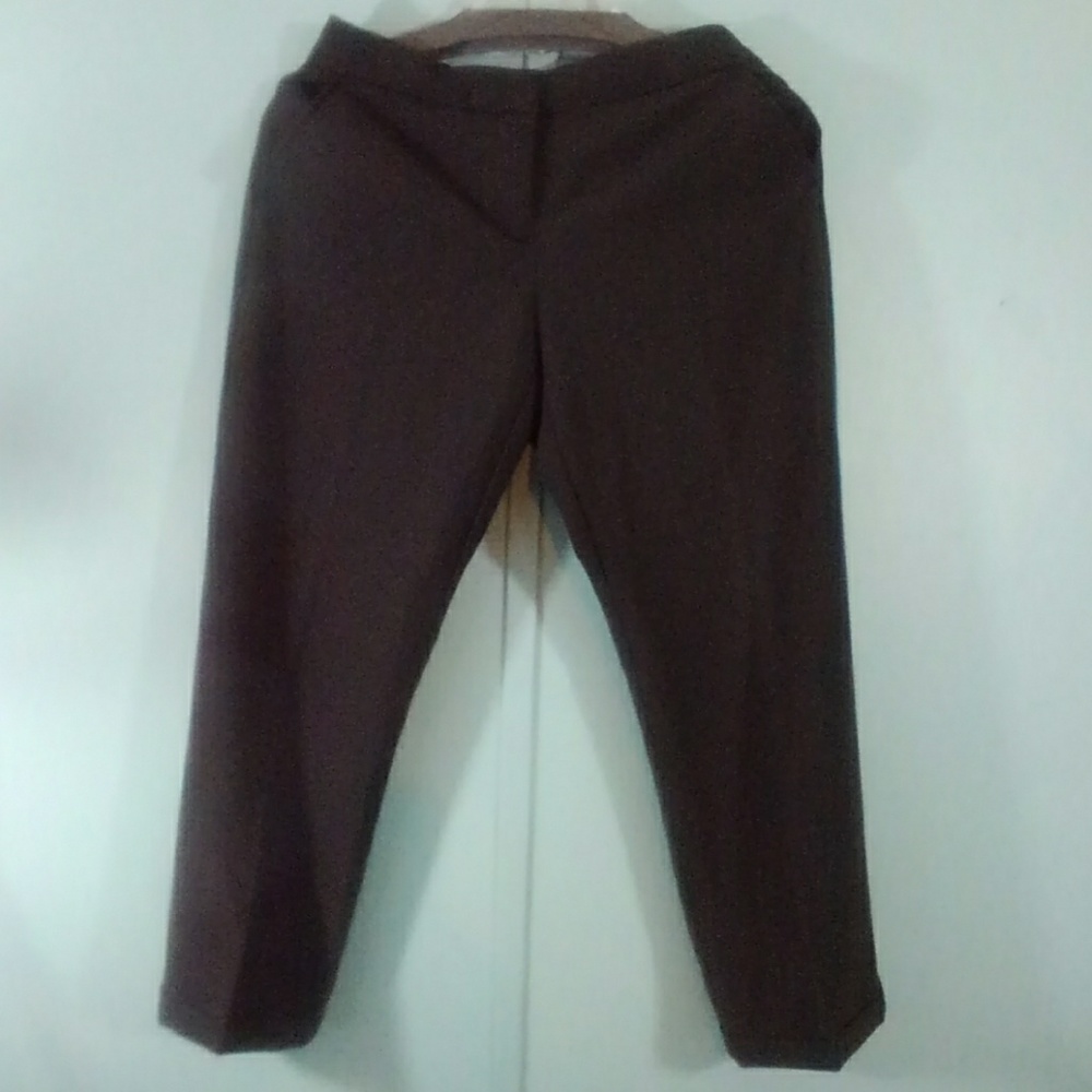 Worthington 2p modern fit polyester slacks 28/25